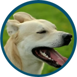 Design sans titre-14