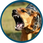 Design sans titre-15